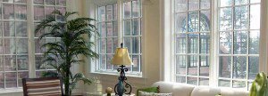 vinyl replacement windows