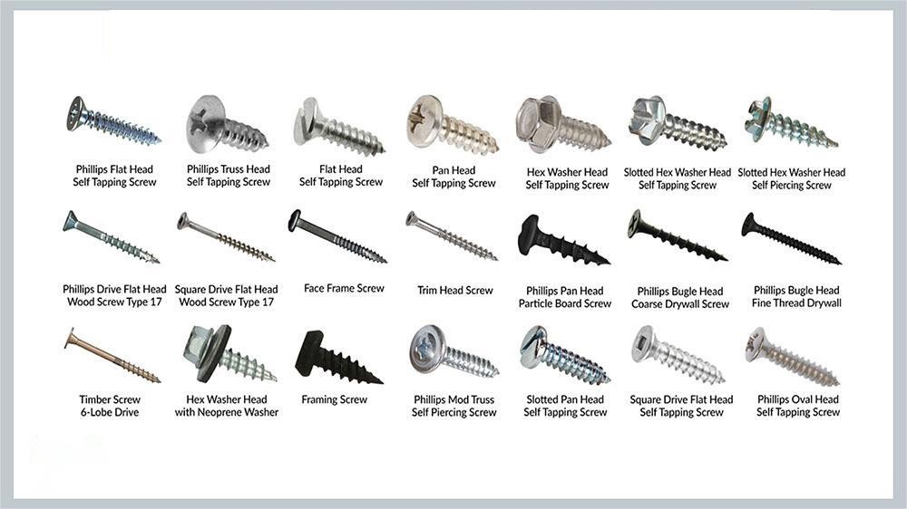 What-Are-the-Various-Screw-Types