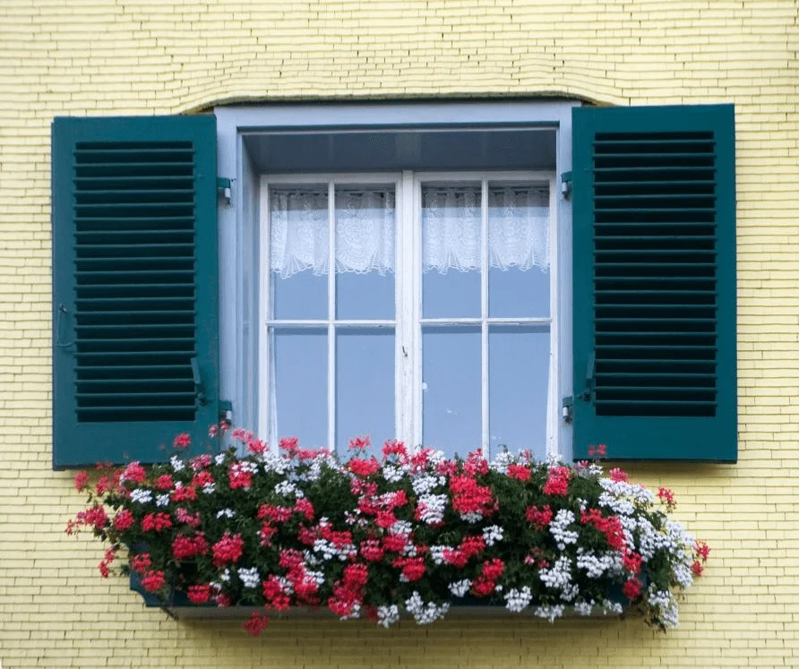 Louvre Windows